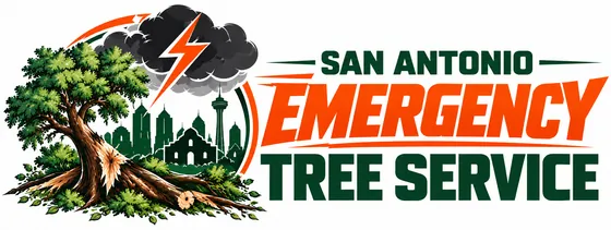 Emergency Tree Service San Antonio